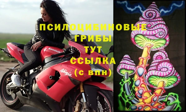 крисы Алексин