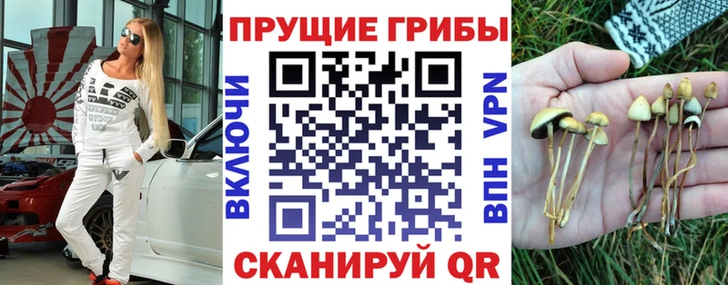 Галлюциногенные грибы ЛСД  Новопавловск 
